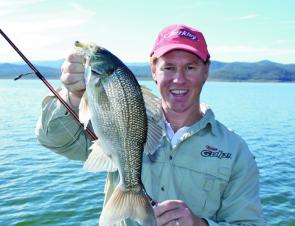 Deep schooling bass can often be tempted on spinnerbaits. Keeping the lure deep by using light line is the key.